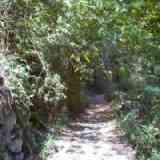 Click para ampliar. 7